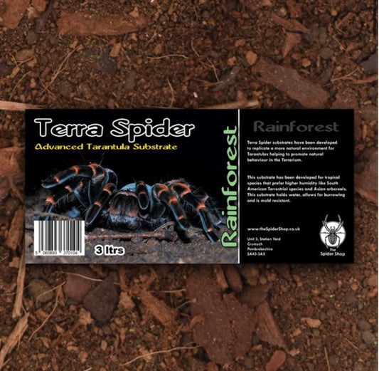 Rainforest Spider 3 Litre