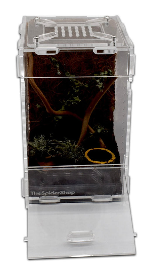 Acrylic Aboreal Terrarium Small Flat Packed
