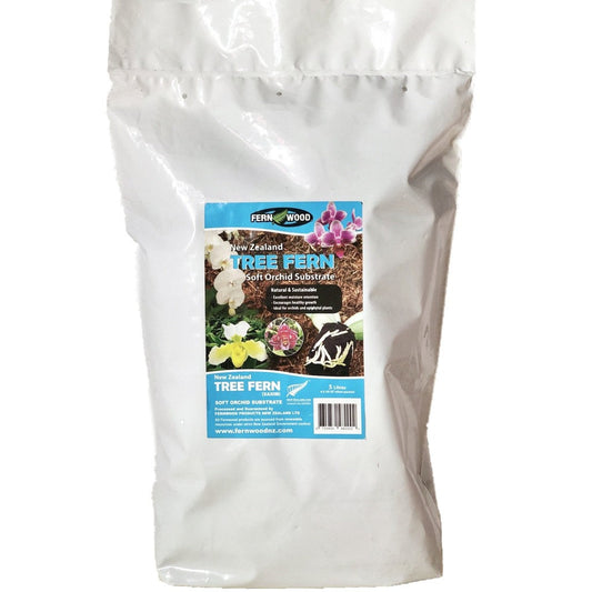 New Zealand Tree Fern 5 Litres