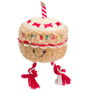 Plush and Rope Birthday Cake Dog Toy