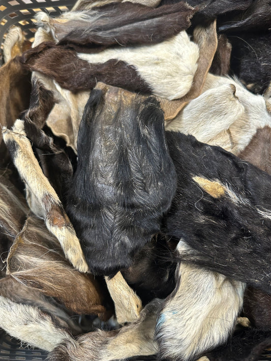 Hairy Goat Ear Natural Dog Treat