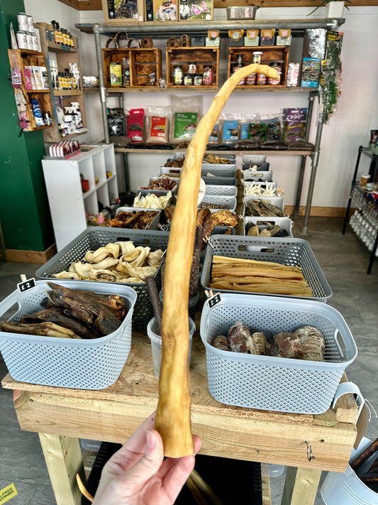 Buffalo Tail Natural Dog Treat