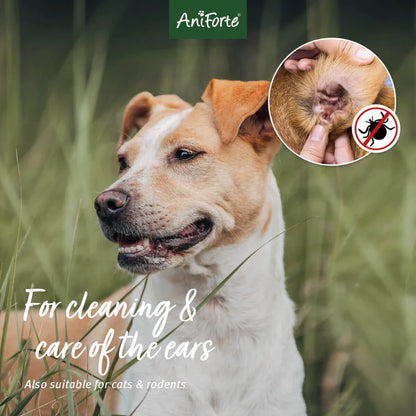 Ear Mite Treatment Dog Cat Small Animal