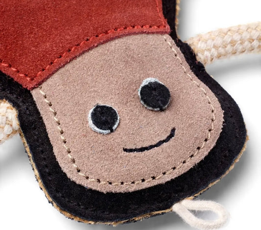 Spike the Spider Eco Dog Toy