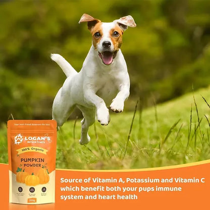 Pumpkin Powder Dog Supplement