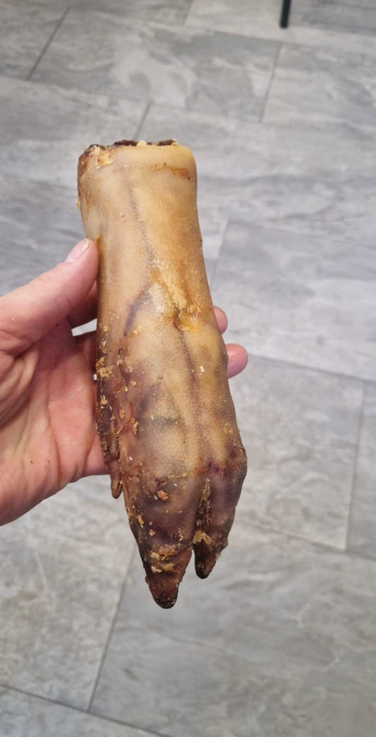 1x Pig Front Trotter Natural Dog Treat