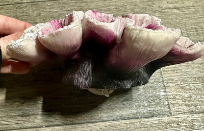 Fish Tank Ornament Coral Mauve 19 x 17 x 6cm