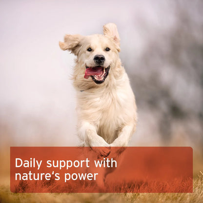 AniForte® Rose Hip Powder for Dogs and Cats 250g