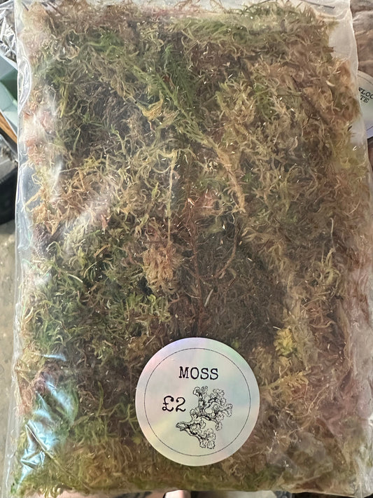 Sphagnum Moss Starter Bag 1L
