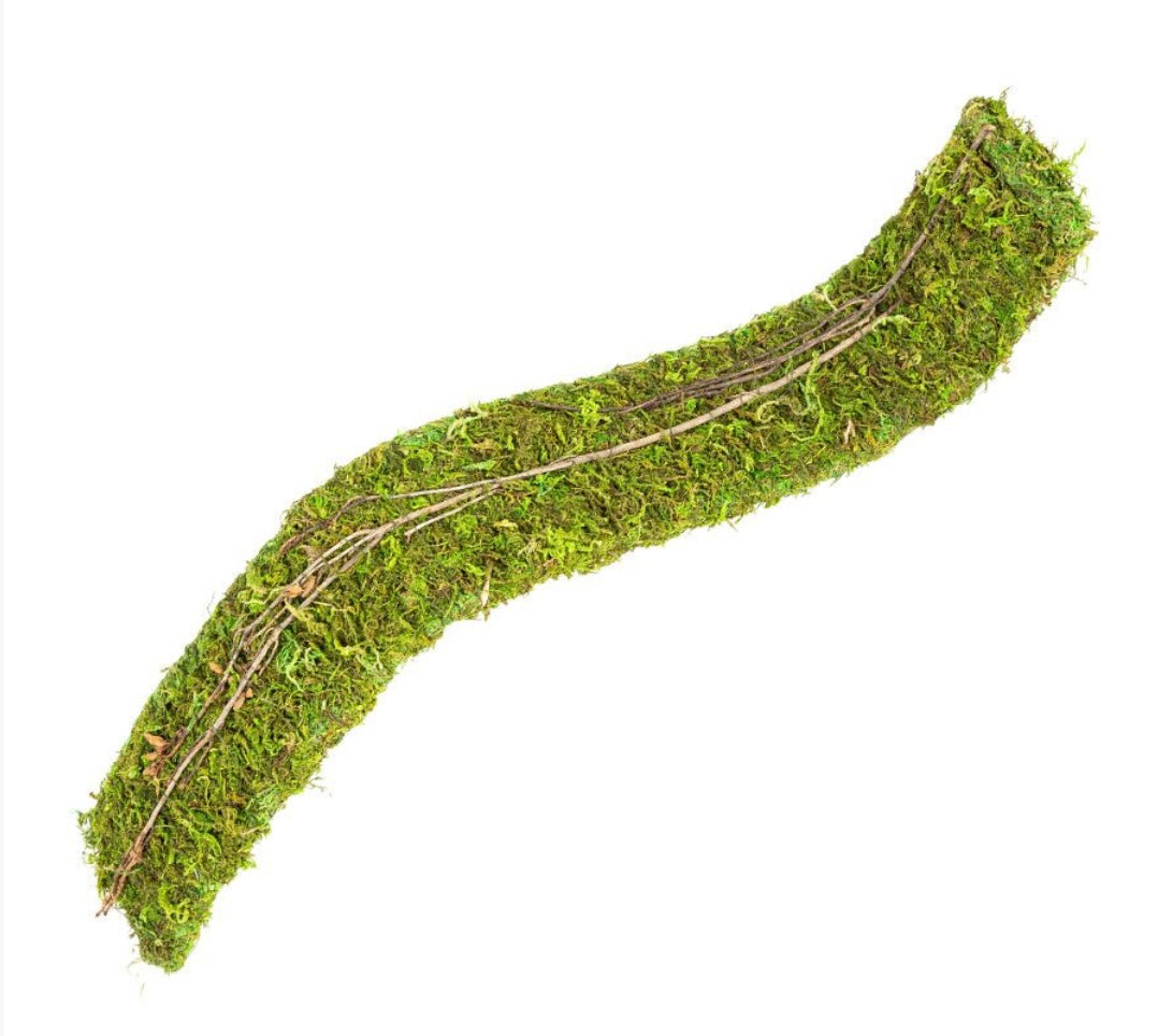 Repti Zoo RZ Natural Moss Flex Bridge, Small, 51×7.5x2cm