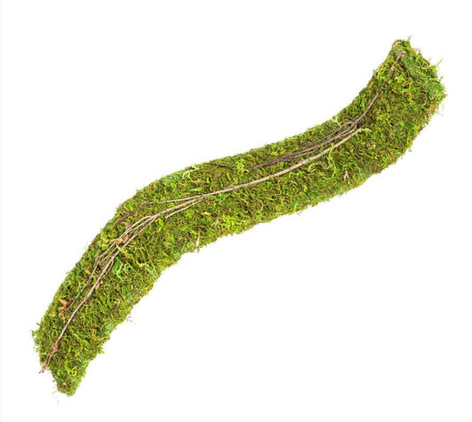 Repti Zoo RZ Natural Moss Flex Bridge, Small, 51×7.5x2cm