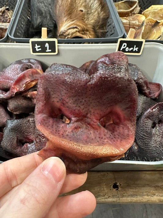 Plain Pig Snout Natural Dog Treat Pork