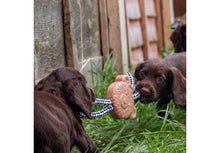 Load image into Gallery viewer, Small Bite Teddy Teether Tugger Puppy Dog Toy
