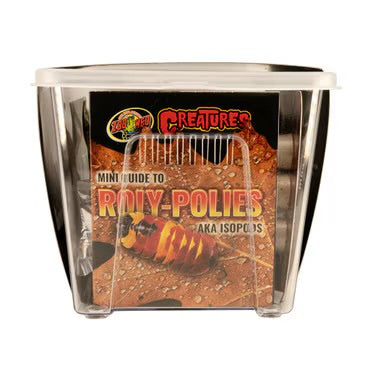 Zoo Med Roly Poly Isopod Starter Kit Set
