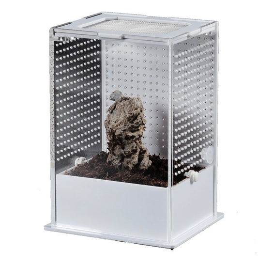 RZ Reptizoo White Base Insect Acrylic Box, 10×8.5x15cm Mantis Jumping Spider Inverts Insects