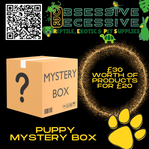 Puppy Enrichment Mystery Box