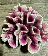 Load image into Gallery viewer, Fish Tank Ornament Coral Mauve 19 x 17 x 6cm
