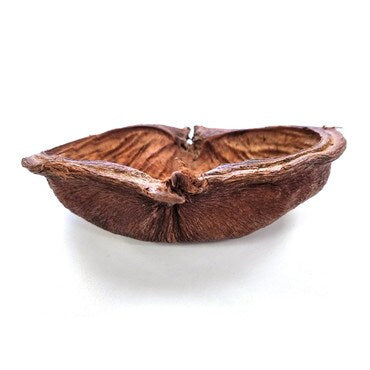 HabiStat Sculta Pod Inverts Isopods Decor Hide