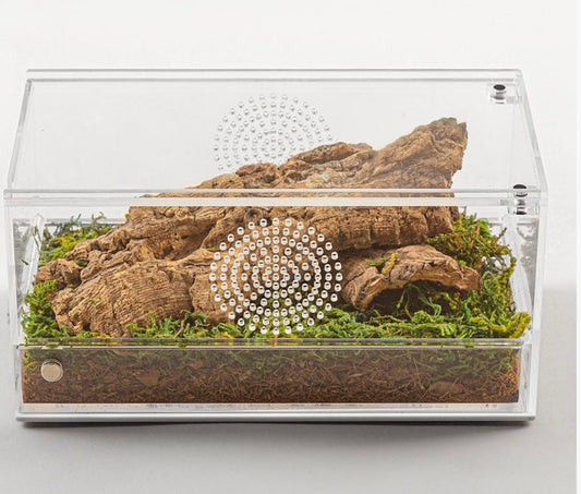RZ Reptizoo Acrylic Case with Removable Tray, 203x102x102mm