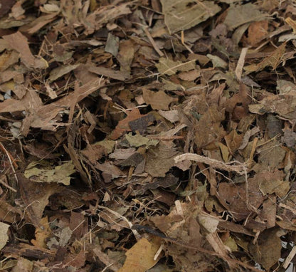 Pro Rep Leaf Litter Block 500g