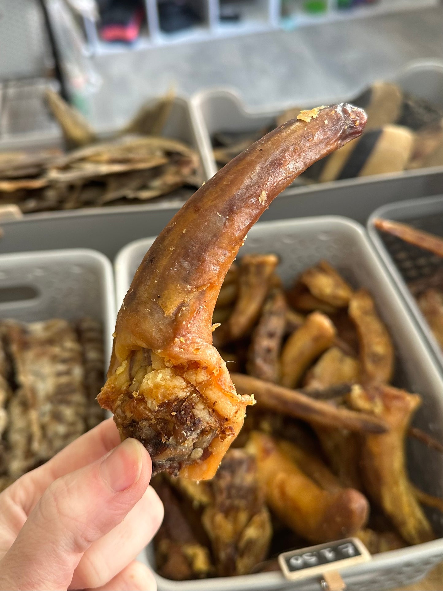 Pig Tail Natural Dog Treat