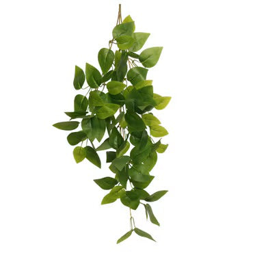Habistat Hanging Vine 60cm Foliage Decor - Forever Green