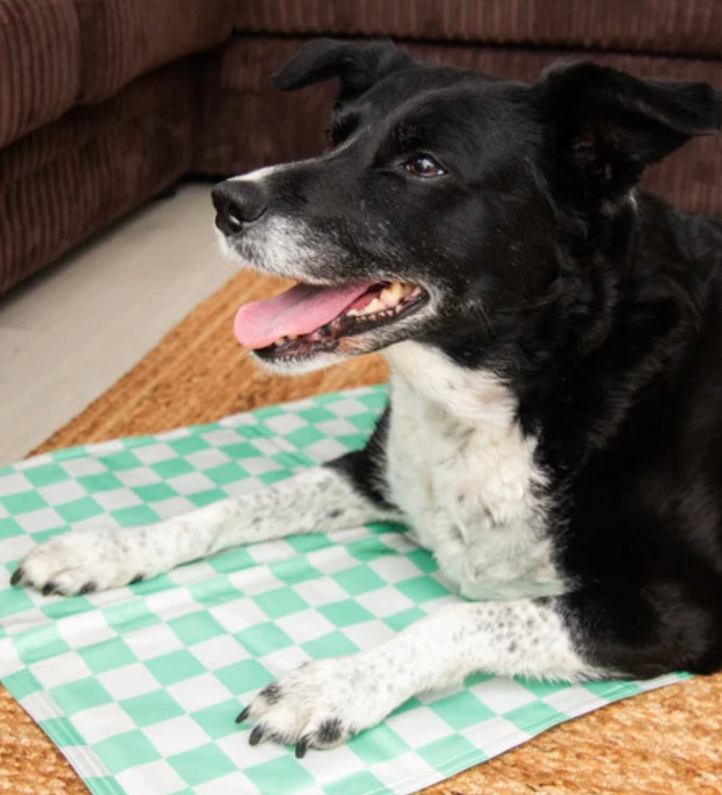 Rosewood Medium Check Checkered Cool Cooling Mat Dog Summer Green 65x50cm