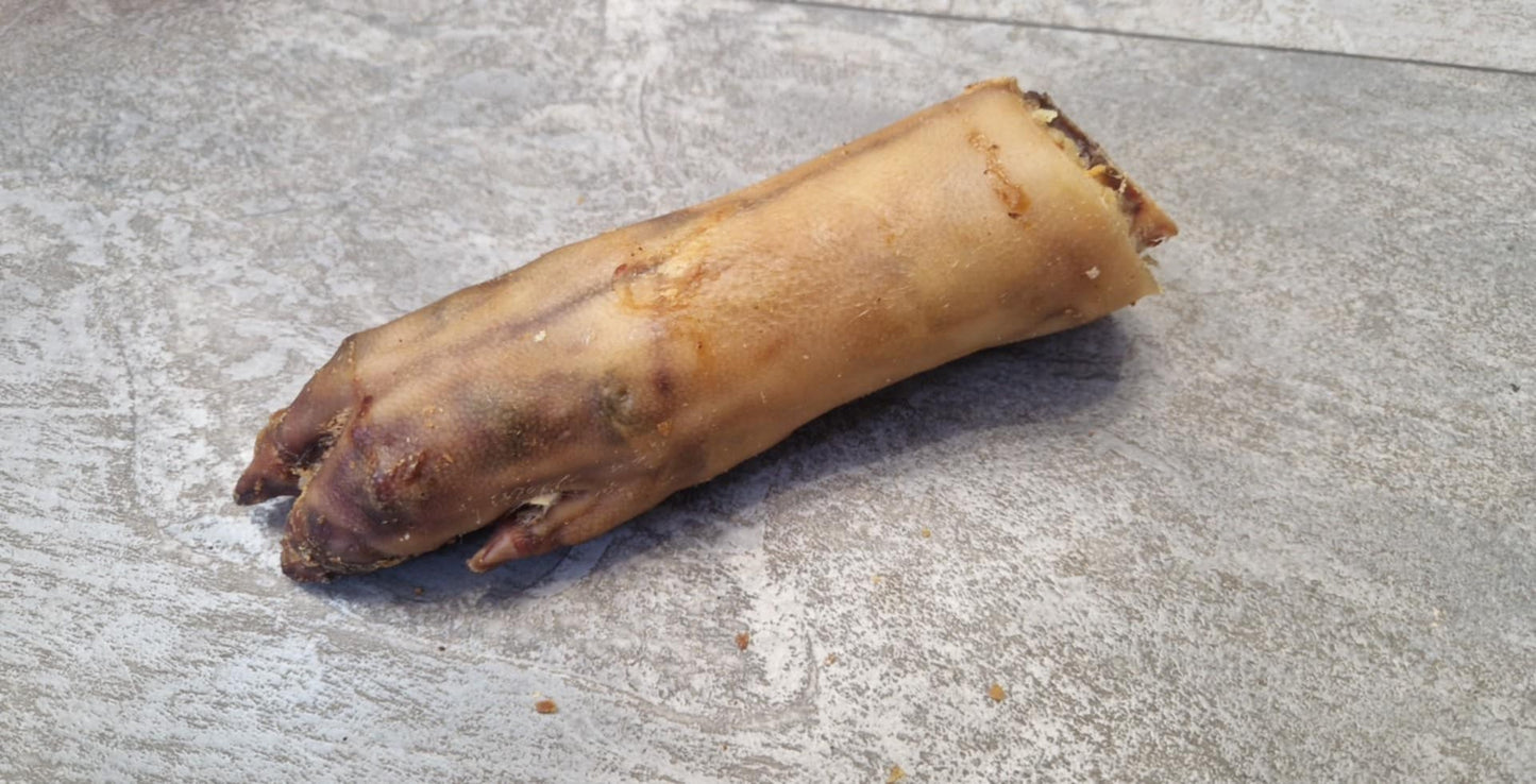 1x Pig Front Trotter Natural Dog Treat