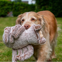 Load image into Gallery viewer, Cuddle Sid Spider Dog Toy Plush
