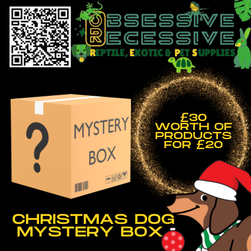 Christmas Dog Mystery Box