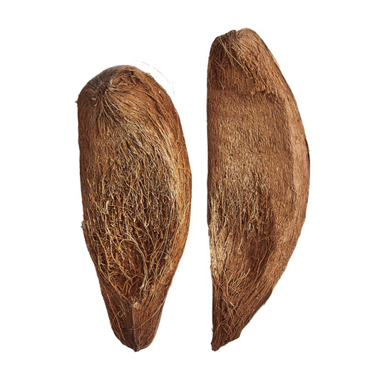 2 Coconut Husk Slices