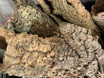 Cork Bark Tubes Bulk Amounts Bundles 1kg or 5kg Options Enrichment Reptiles Inverts Small Animals Natural