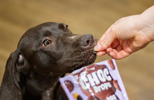 Rosewood Dog Safe Chocolate Drops Treat