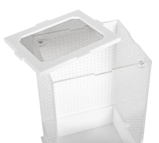 RZ ReptiZoo White Base Insect Acrylic Box, 12x10x20cm