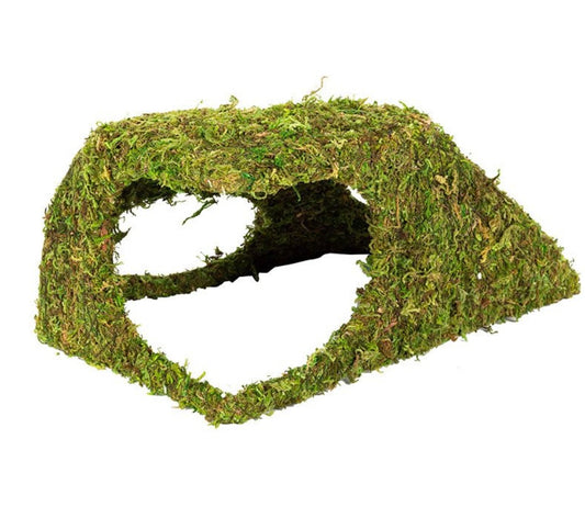 Repti Zoo RZ Natural Moss Dome, Xlarge, 25.5x14x11.5cm