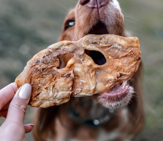 Lamb Snout Natural Dog Treat