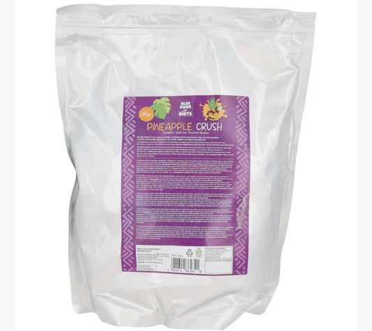Blue River Gecko Food Bulk Bag 2kg Pineapple Crush