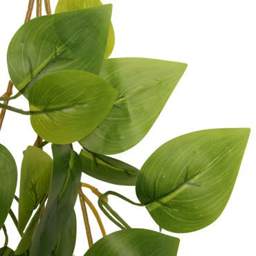 Habistat Hanging Vine 60cm Foliage Decor - Forever Green