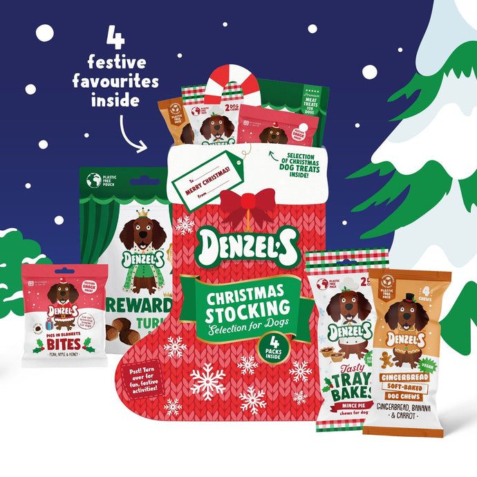 Denzel Christmas Stocking of Treats for Dogs 245g