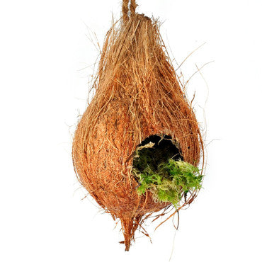 Hanging Coconut Aboreal Hide Geckos Decor Rope