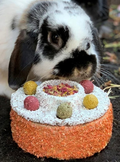 Small Animal Birthday Celebration Cake Chew Enrichment Treat