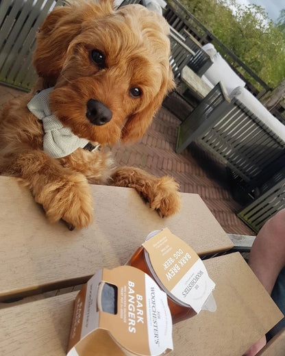 Sir Woofchester Bark Bangers Treat Pot Mini Chicken Sausage Dog
