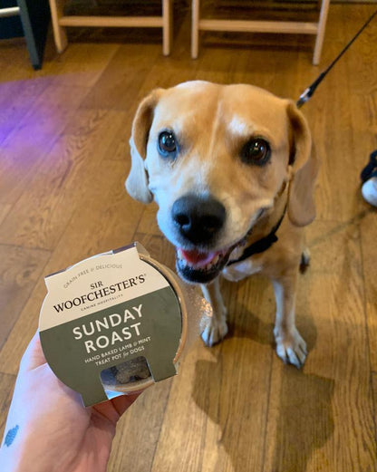Sir Woofchester Sunday Roast Treat Pot Heart Biscuits Lamb and Mint Dig Treat