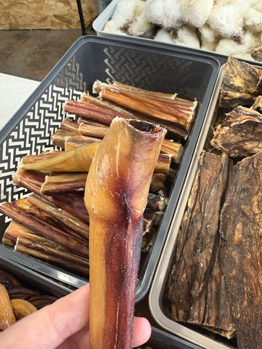 12cm Cut Bull Pizzle Stick Natural Dog Treat Chew