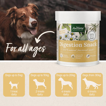 Aniforte Digestion Snacks approx 200 snacks