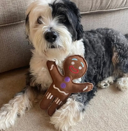 Jean the Genie Gingerbread Eco Dog Toy
