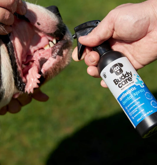 Buddy Care Pet Antiseptic Dental Spray - 200ml / 6.76 fl oz