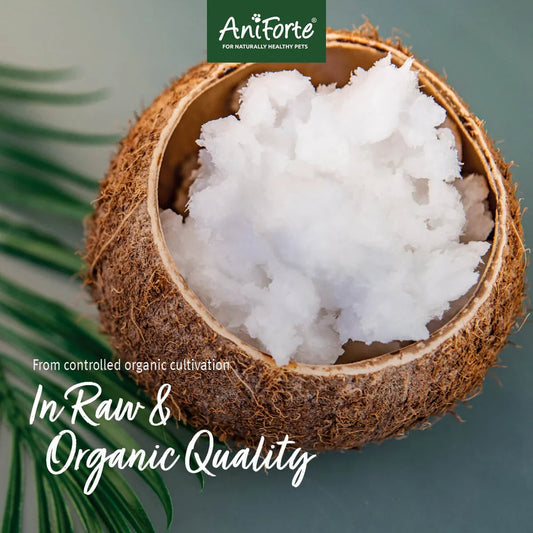 Aniforte Coconut Oil Supplement Dogs and Cats