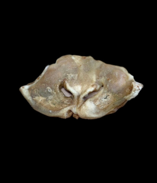 Lamb Snout Natural Dog Treat