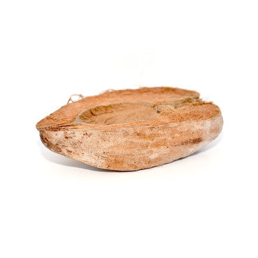Habistat Coco Bowl